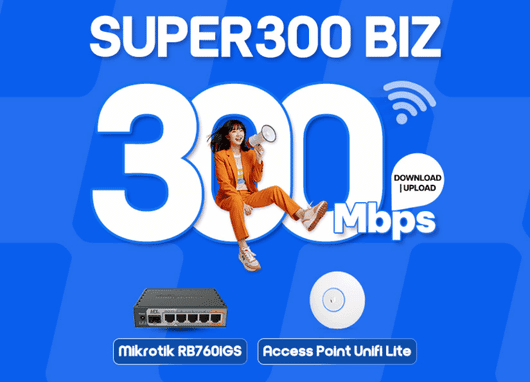 Super 300Biz